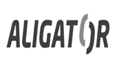 Aligator Figi Note 3 Pro Factory Reset